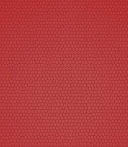 Tercer cuartel: fondo rojo